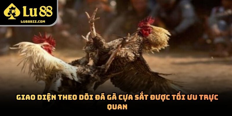 Đá Gà Cựa Sắt – Hình Thức Giải Trí Trực Tuyến 
