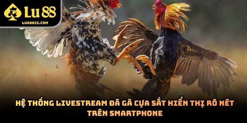 Đá Gà Cựa Sắt – Hình Thức Giải Trí Trực Tuyến 