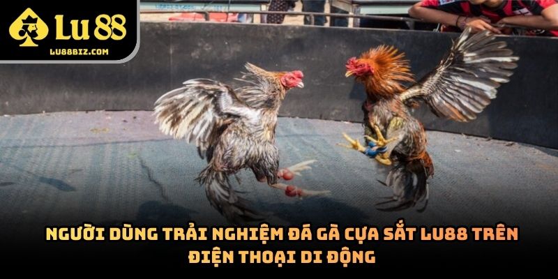 Đá Gà Cựa Sắt – Hình Thức Giải Trí Trực Tuyến 
