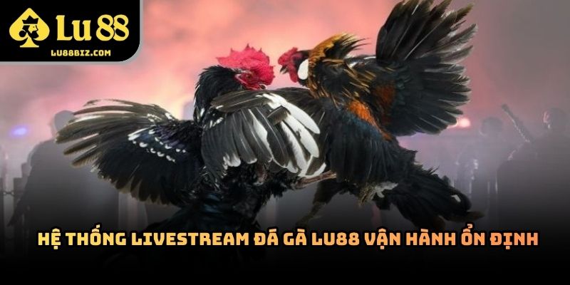 Đá Gà Lu88 – Chuyên Mục Trực Tuyến Thu Hút Người Dùng