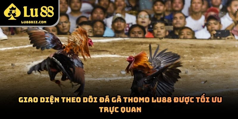 Đá Gà Thomo – Hình Thức Giải Trí Trực Tuyến 2026